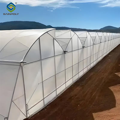 Good price Customizable Commercial Hydroponic Greenhouse Tomato Green House Low Maintenance online
