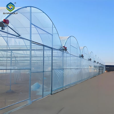 Good price Galvanized Steel Frame Multispan Greenhouse 30-100m Length Customized Size online