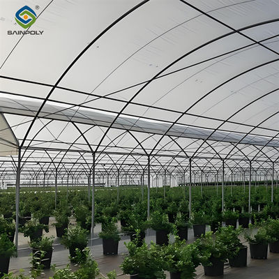Good price Simple Design Easy To Install Blueberry Greenhouse With Electric Manual Systems online