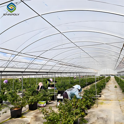 quality Customization Multi Span Greenhouse Agriculture Green House For Berry factory