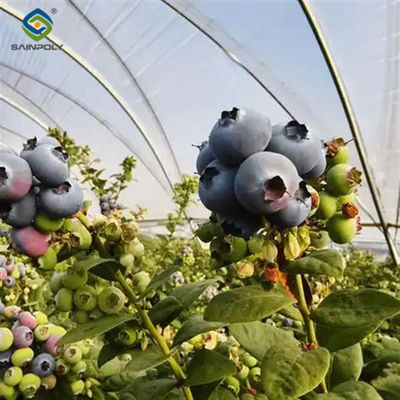Good price Sainpoly Agriculture Greenhouse Steel Structure Greenhouse Customized Color online