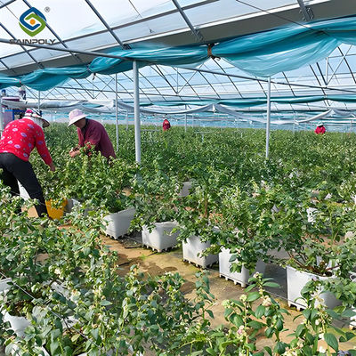 Good price Professional Structure Agricultural Blueberry Greenhouse Customizable online