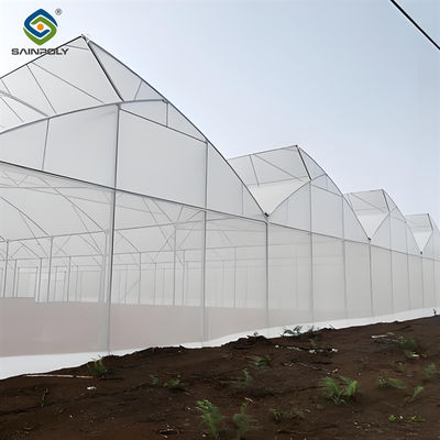 Good price Indoor Multi Span Plastic Film Gothic Arch Greenhouse With PC Sheet online