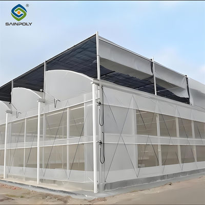 Good price 4m Height Steel Structure Greenhouse Gothic Type Easy Installation online