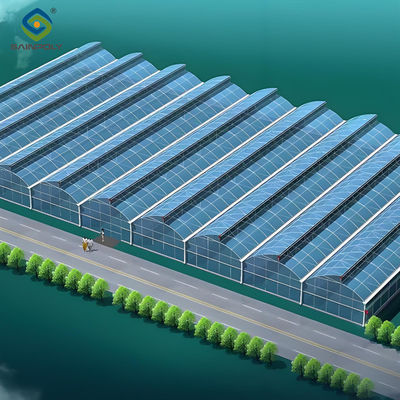Good price Customization Span Large Commercial Greenhouse With Single PE Layer Frame 4m Height online