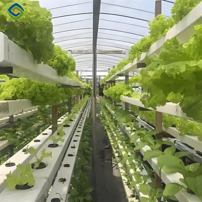 Good price Customizable Agricultural Greenhouses Aeroponics Lettuce Hydroponics System online