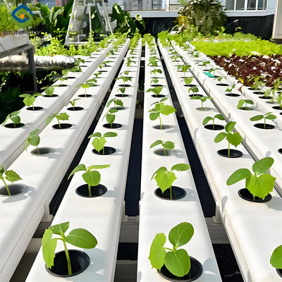 Good price Food Grade PVC Pipe NFT Channel Hydroponic Greenhouse Eco Friendly online