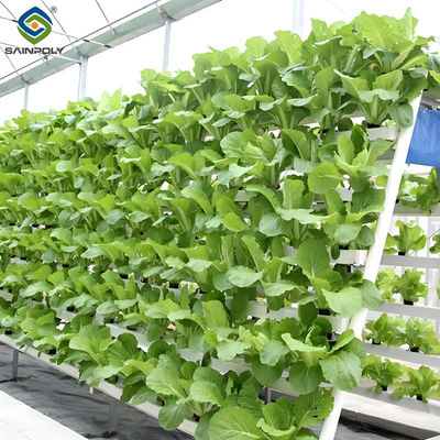 Good price Soilless Culture Tomato Greenhouse With Nft Hydroponic System online