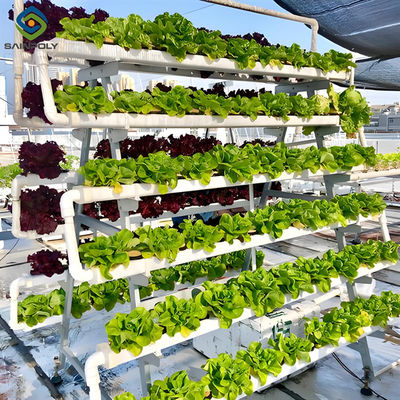 Good price SAINPOLY Agriculture Greenhouse Hydroponics Greenhouse Steel Frame Weather Proof online