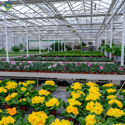 Good price Waterproof Flower Greenhouse Multi Span Greenhouse With Strong Load Bearing online