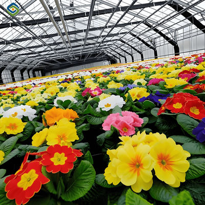 Good price Easy Assembly Glass Type Flower Greenhouses With Hydroponic Growing System online