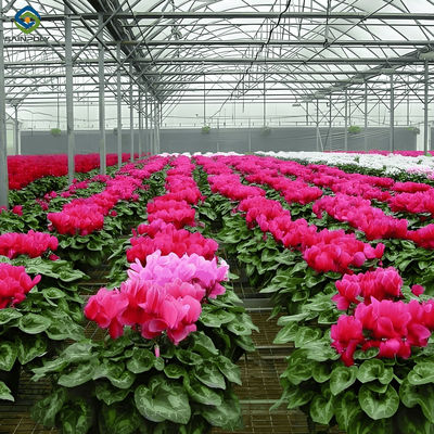 Good price Customized Flower Green House Easy Assembly Plant Greenhouses online