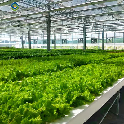 Good price Lettuce Vegetable Growing Smart Greenhouse Farming Greenhouse With Steel Frame online