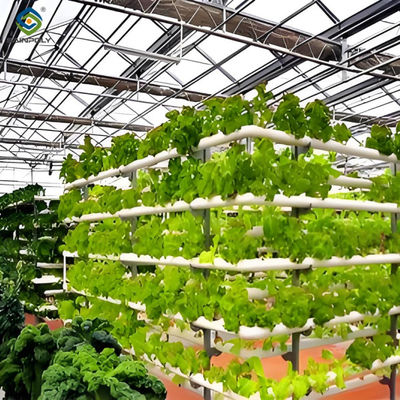 Good price Weather Resistance Hydroponic System Greenhouse Multispan For Planting online