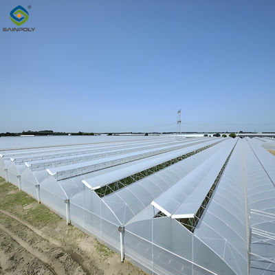Good price Customizable Multi Span Greenhouse For Tomato Plants Growing online