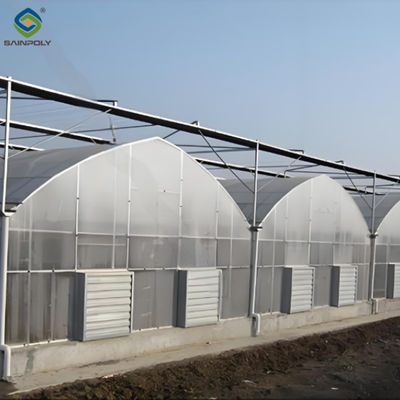 Good price Easy To Assemble Multi Span Greenhouse For Growing Vegetables And Flowers online