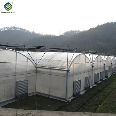 Good price Polycarbonate Covering Multi Span Greenhouse With Galvanized Steel Structure online