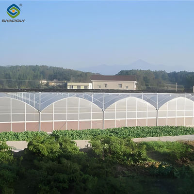 Good price Stable Structure Agricultural Multi Span Greenhouse 30-100m Length online