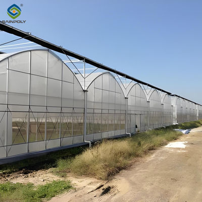 Good price Polycarbonate Covering Multispan Greenhouse Tomato Growing Greenhouse CE online