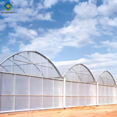 Good price 30m/50m/60m Length Galvanized Steel Greenhouse Multi Span Greenhouse online