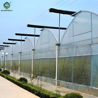 Good price Agricultural Multi Span Poly Film Greenhouse Stable Hydroponic Growing Systems online