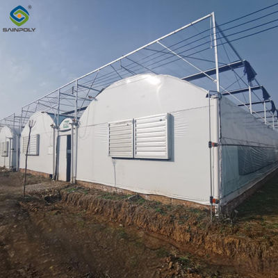 Good price Multispan Vegetable Growing Greenhouse Commercial Tunnel Greenhouse online