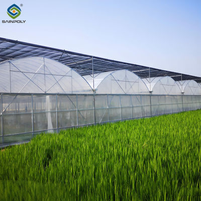 Good price Multi Span Commercial Agriculture Film Greenhouses For Tomatoes Cucumber online