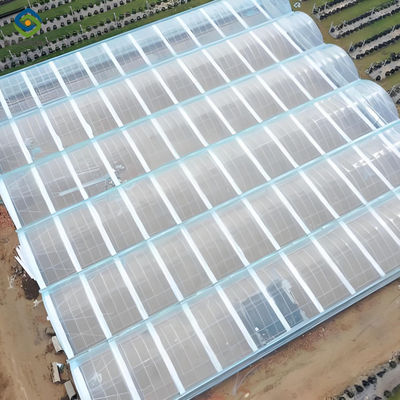 Good price Sainpoly Large Commercial Greenhouse With Hydroponic Growing System online