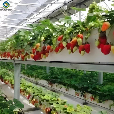 Good price Strawberry Growth Plastic Film Greenhouse With Hydroponic Growing System online