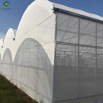 Good price Polycarbonate Mushroom Growing Greenhouse Multispan Farming Green House Cultivation online