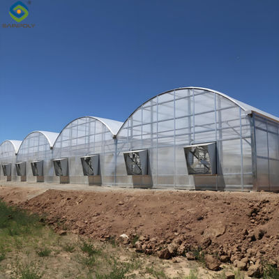 Good price Multi Wall Polycarbonate Gothic Style Greenhouse With Hollow Sheet online