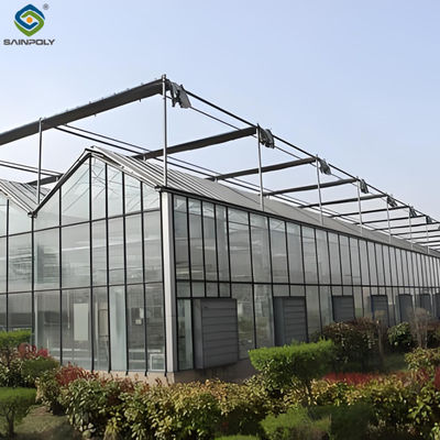 Good price Hydroponic Venlo PC Polycarbonate Solar Glass Greenhouse Customizable online