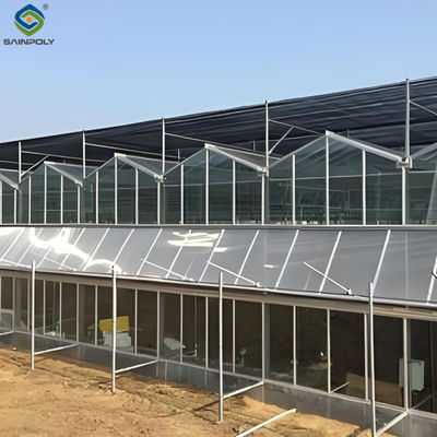 Good price Agricultural Venlo Commercial Glass Greenhouse Width 9.6m With Hydroponic System online