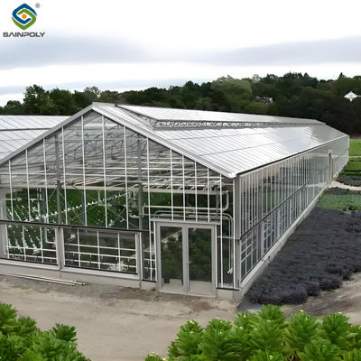Good price Tropical Multispan Agriculture Greenhouses Industrial Victorian Greenhouse online