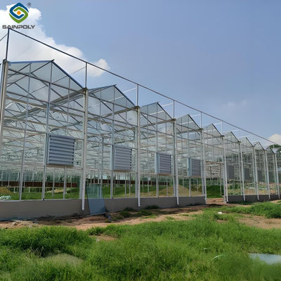Good price Adjustable Shading Net Venlo Greenhouse  Multi Span Glass Green House online