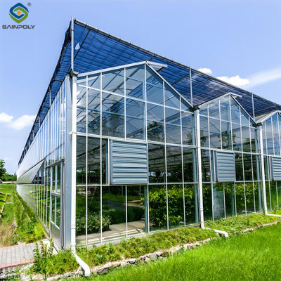Good price Strong Structure Galvanized Venlo Type Greenhouse Commerical Green House online