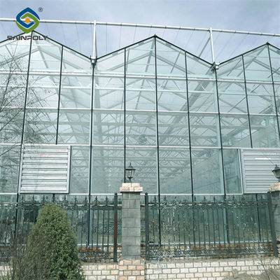 Good price Venlo Greenhouse Commercial Polycarbonate Glass Greenhouse For Seeds Vegetables Hydroponic Tomato online